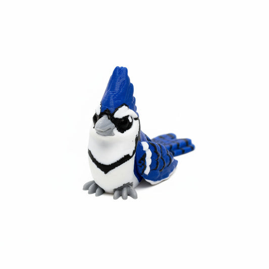 Blue Jay • Bird • Mini 3D Printed Articulated Animal • Flexi Animals • Pocket Pets • Pocket Pals • Desk Pets*